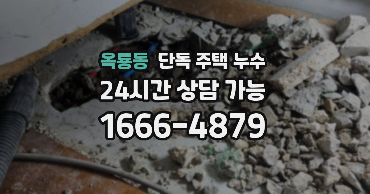 옥룡동 단독 주택 누수