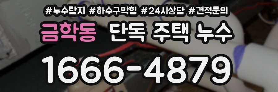 금학동 단독 주택 누수