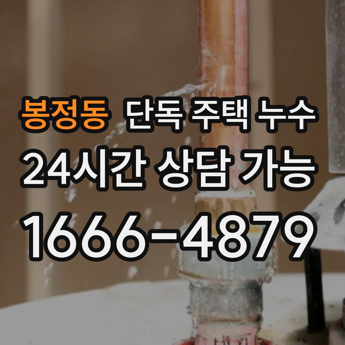 봉정동 단독 주택 누수