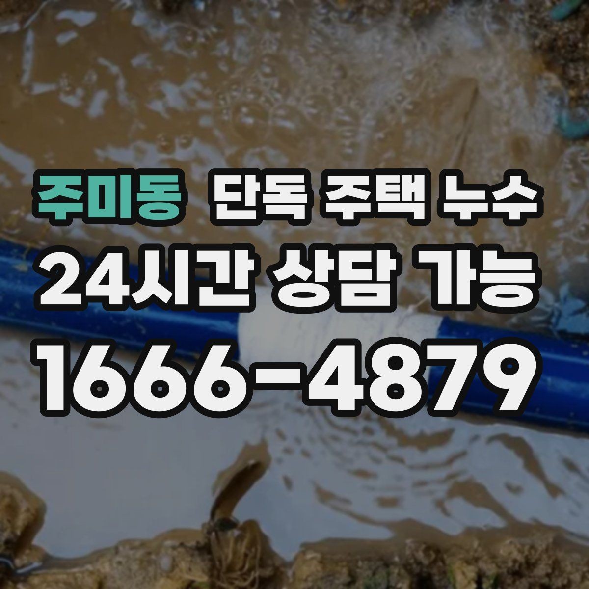 주미동 단독 주택 누수 주방 벽면이 젖는다면 배관부터 볼까