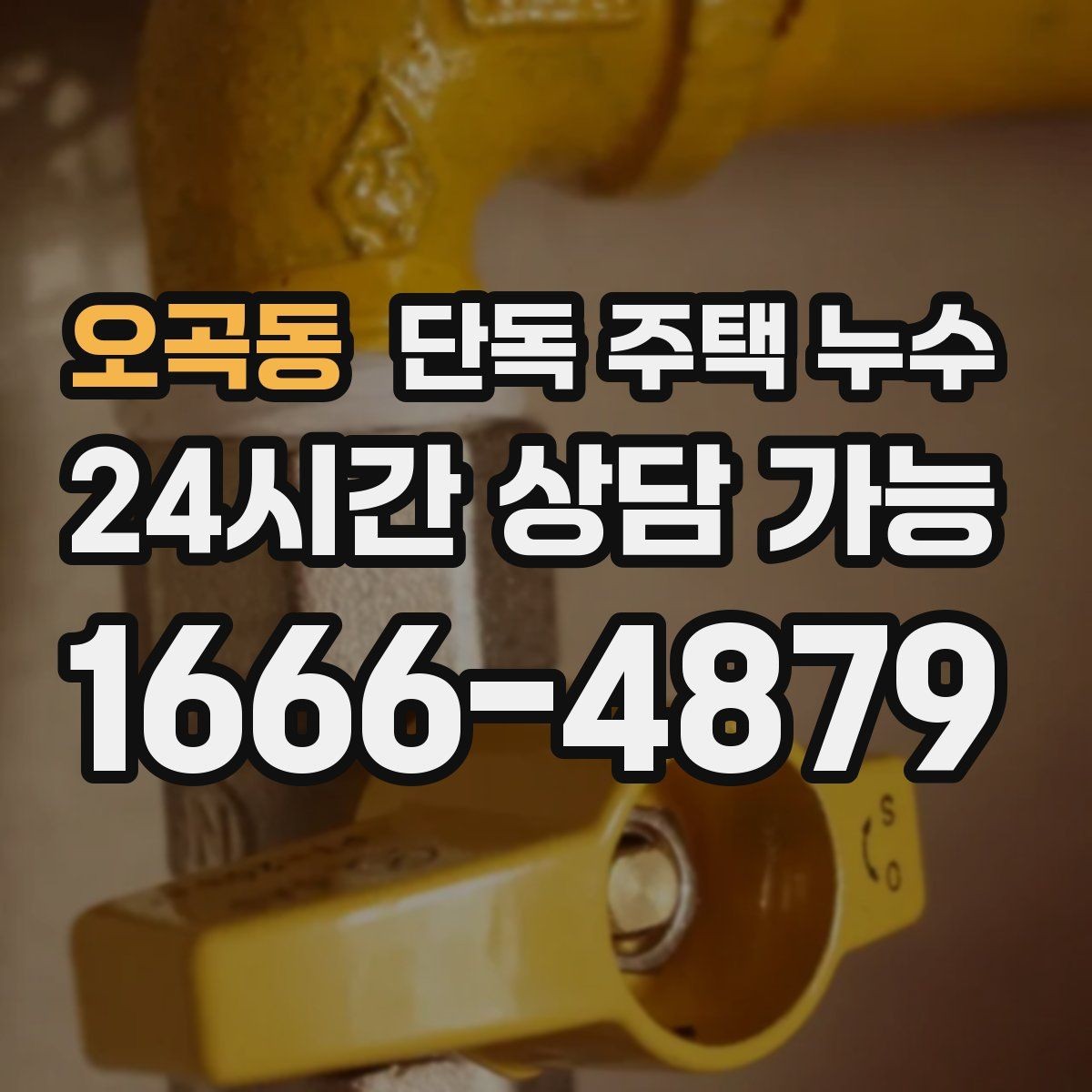오곡동 단독 주택 누수 장마 오기 전에 점검하면 좋은 이유