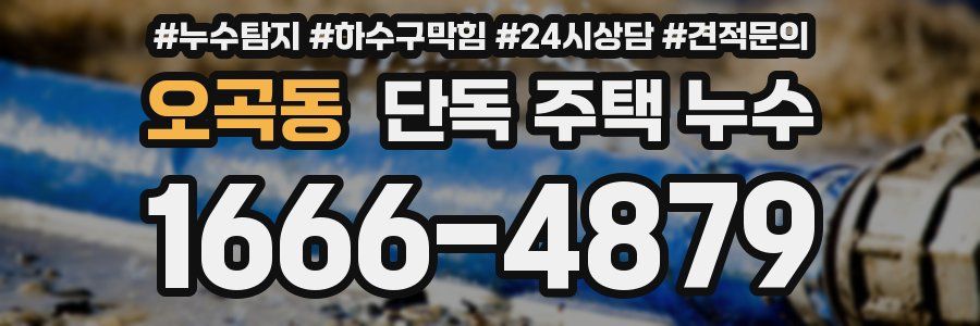 오곡동 단독 주택 누수