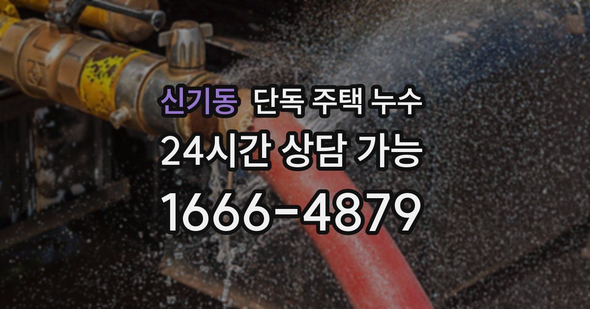 신기동 단독 주택 누수