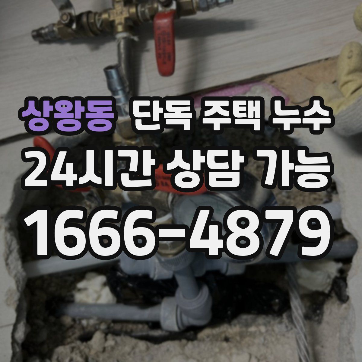 상왕동 단독 주택 누수