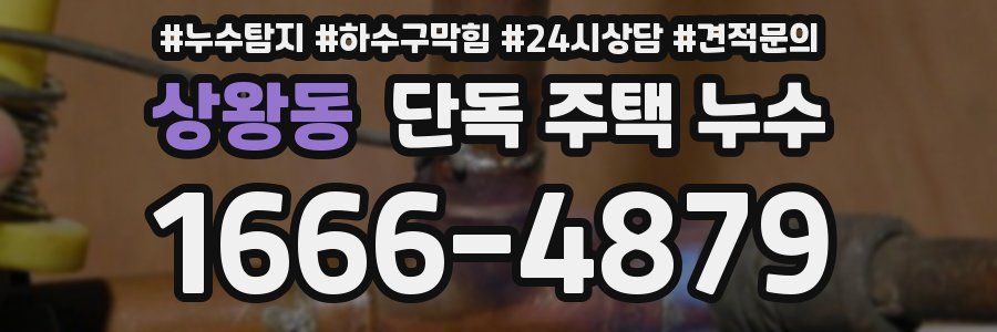 상왕동 단독 주택 누수