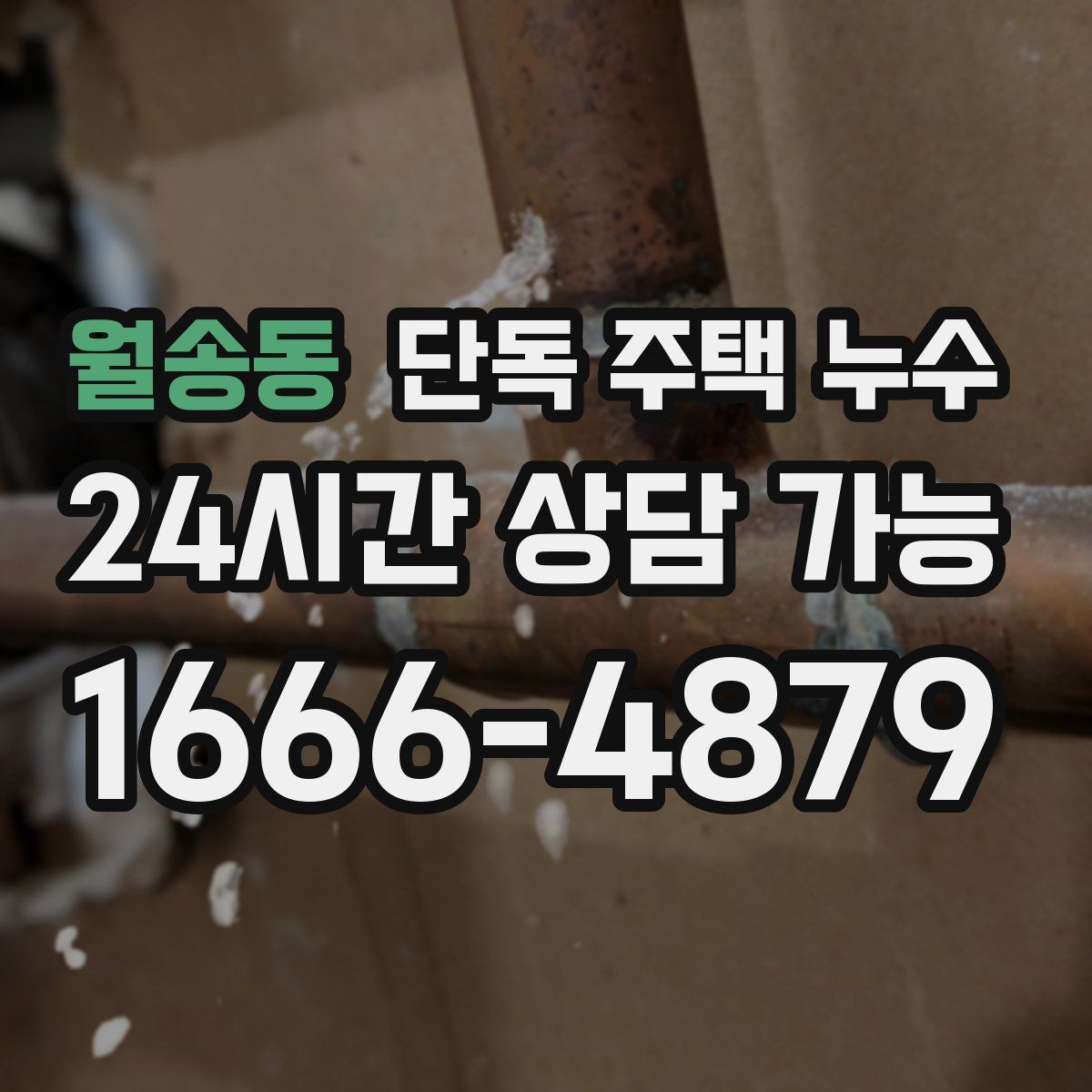 월송동 단독 주택 누수