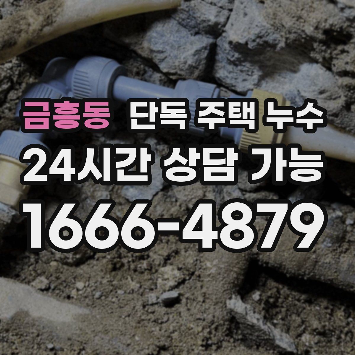 금흥동 단독 주택 누수 마루 틈 사이로 습기가 올라올 때