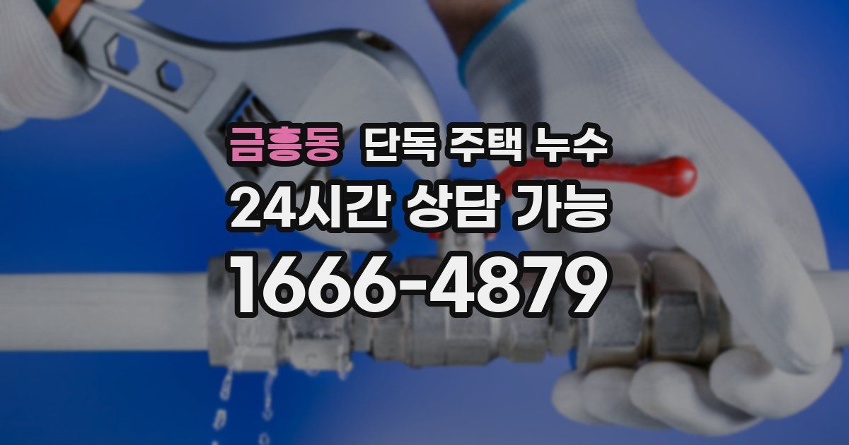 금흥동 단독 주택 누수