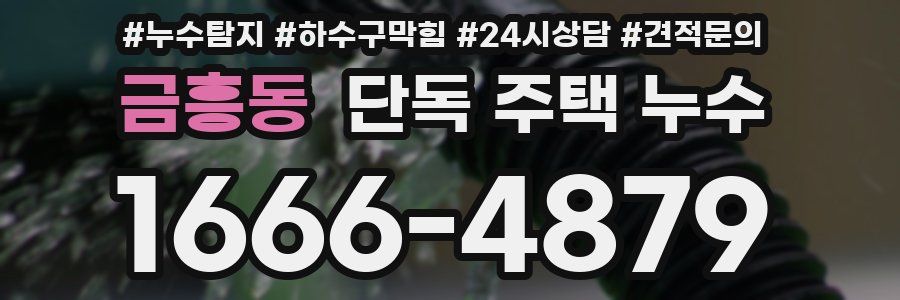 금흥동 단독 주택 누수