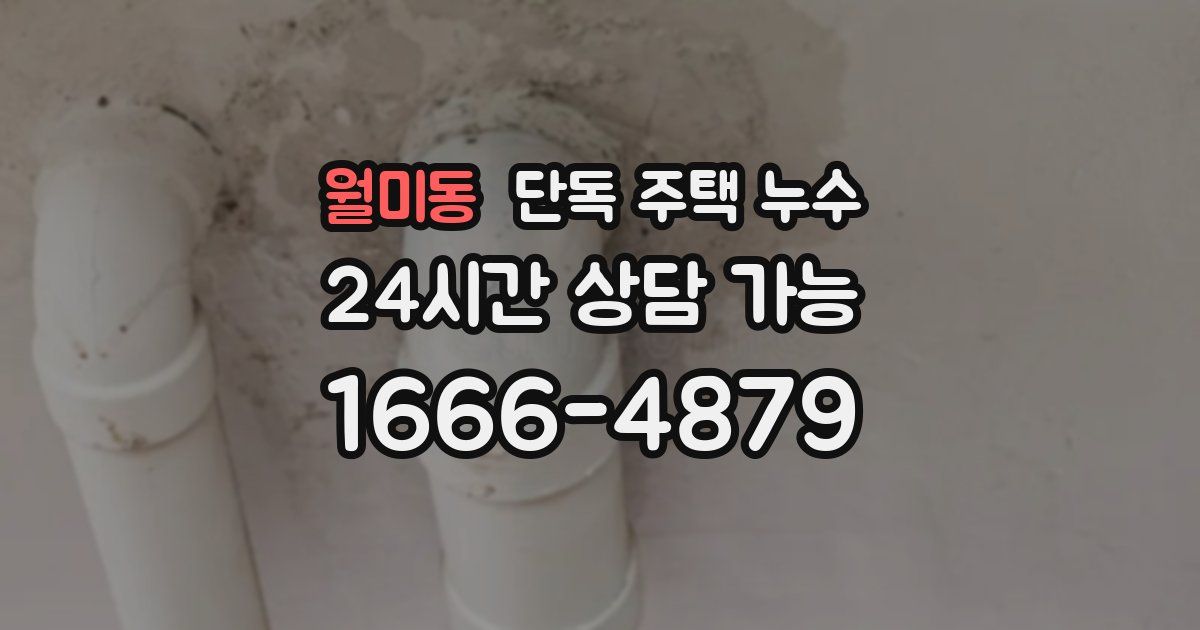 월미동 단독 주택 누수