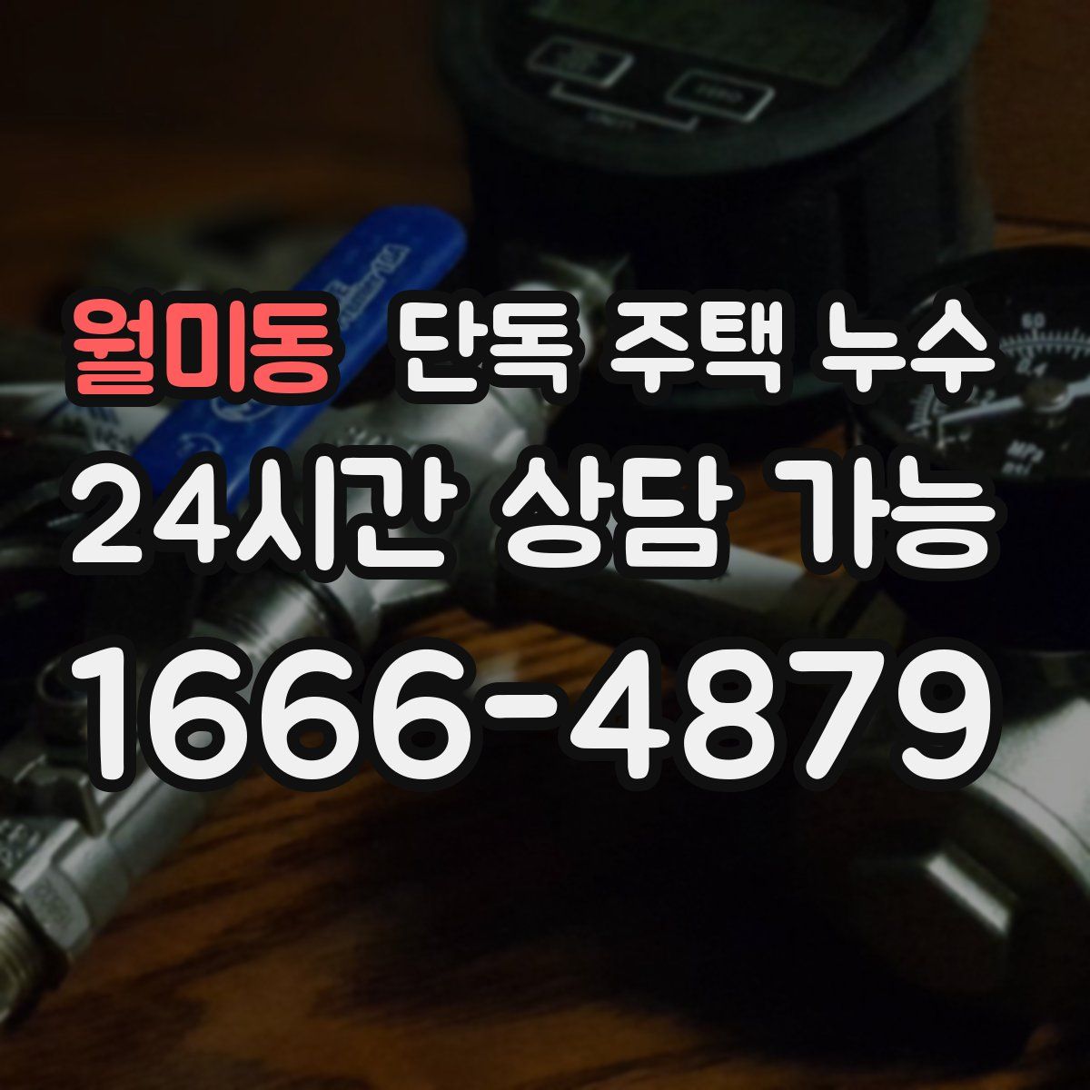 월미동 단독 주택 누수
