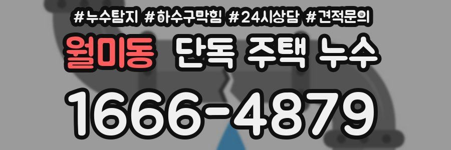 월미동 단독 주택 누수