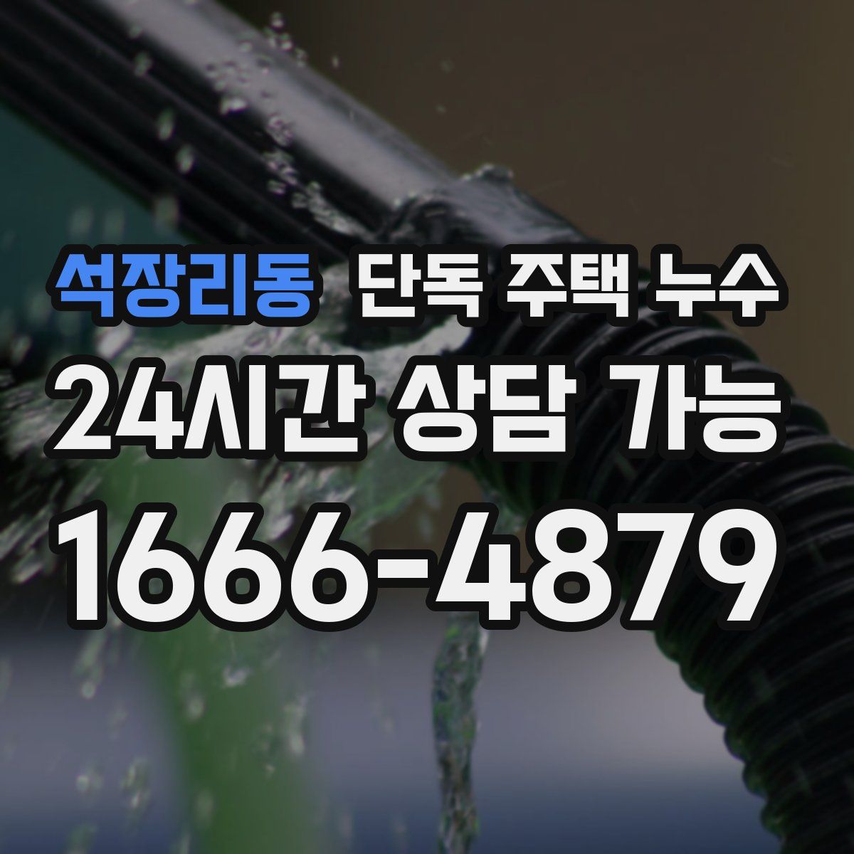 석장리동 단독 주택 누수