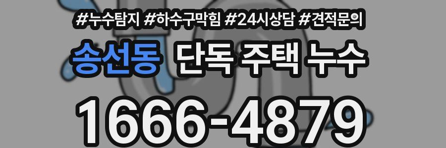 송선동 단독 주택 누수