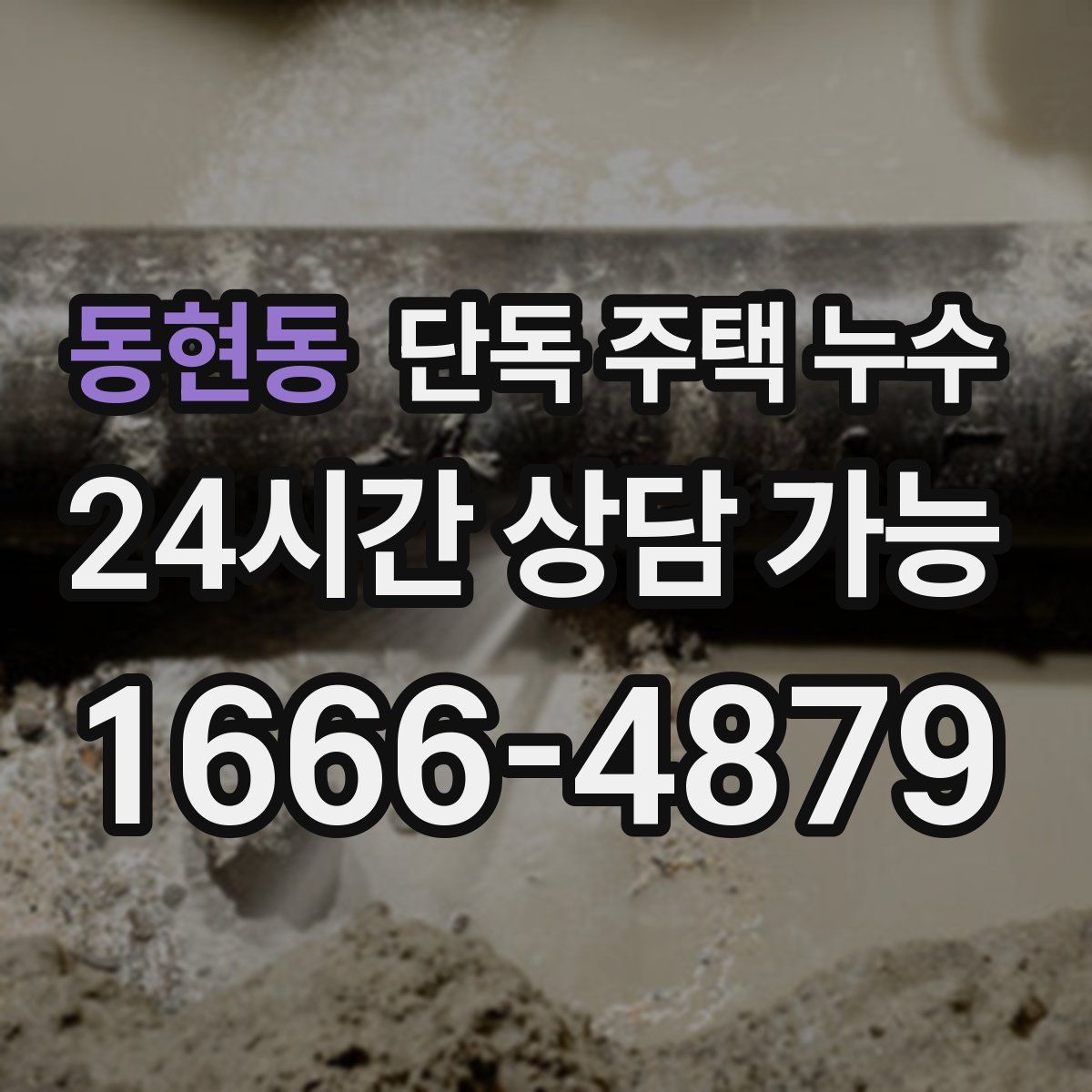 동현동 단독 주택 누수