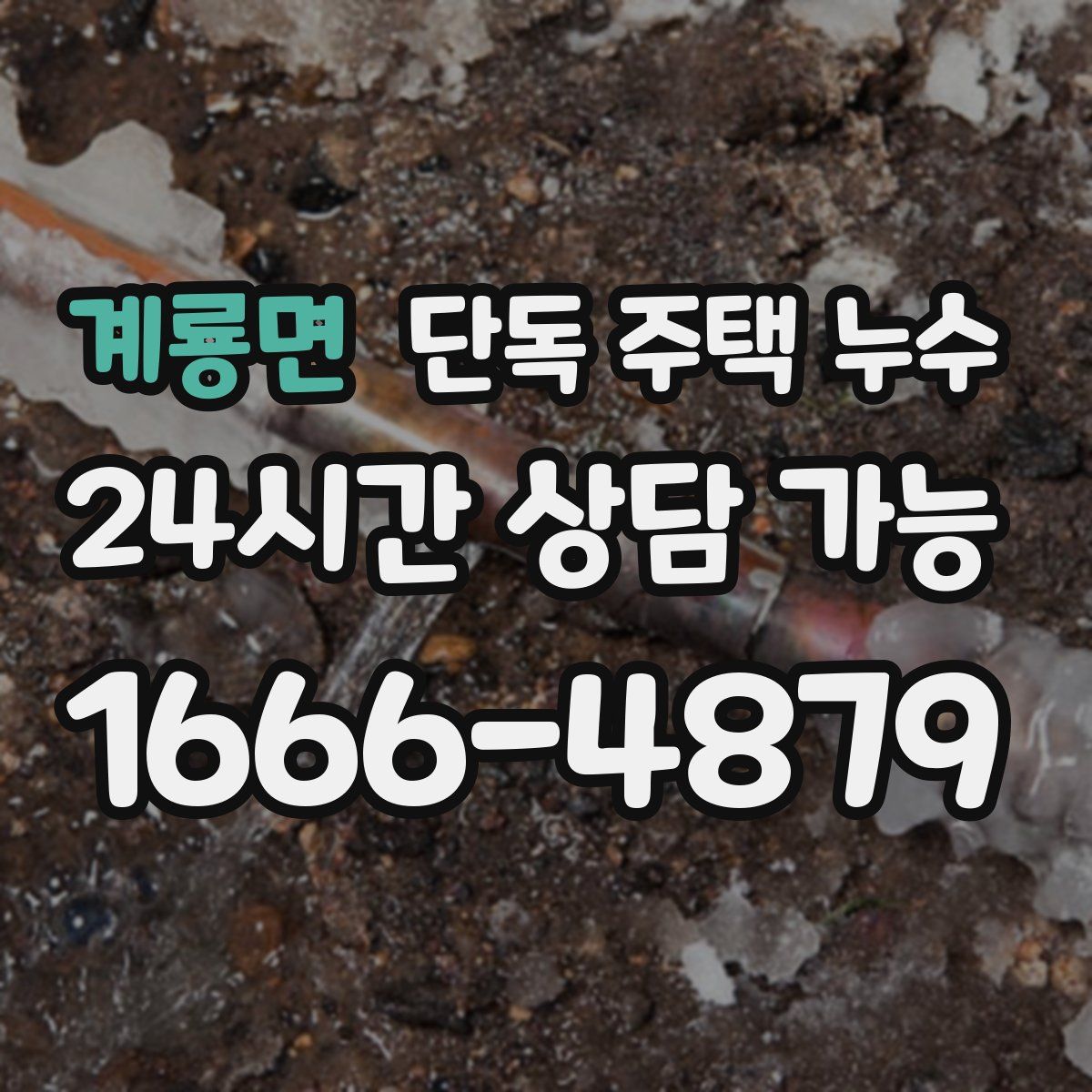 계룡면 단독 주택 누수