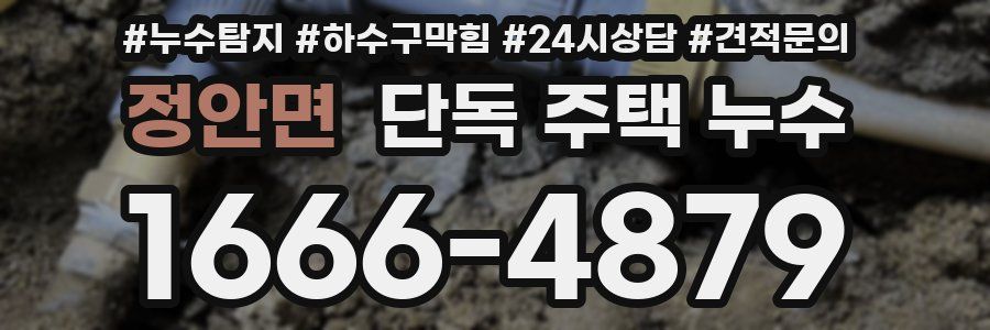 정안면 단독 주택 누수