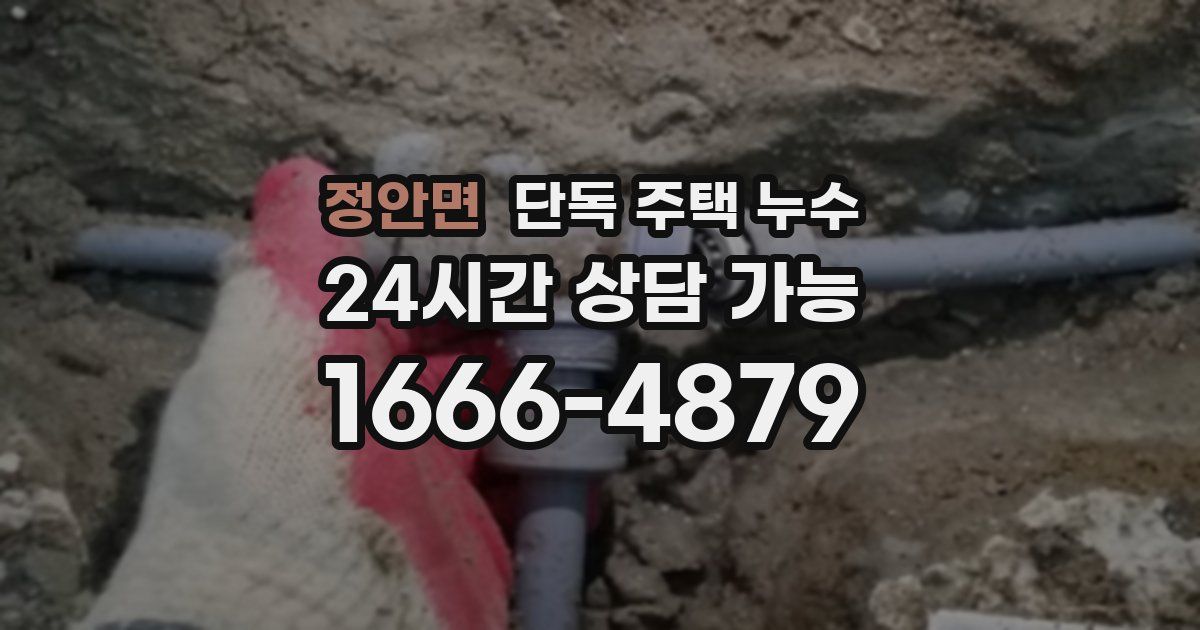 정안면 단독 주택 누수