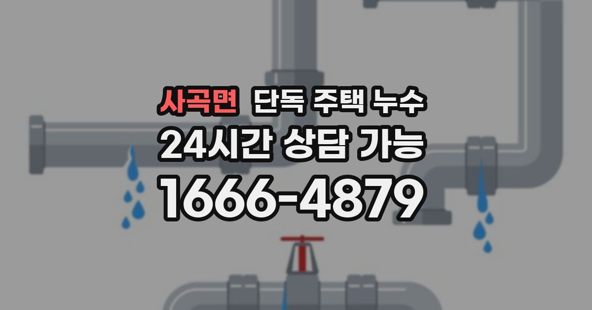 사곡면 단독 주택 누수