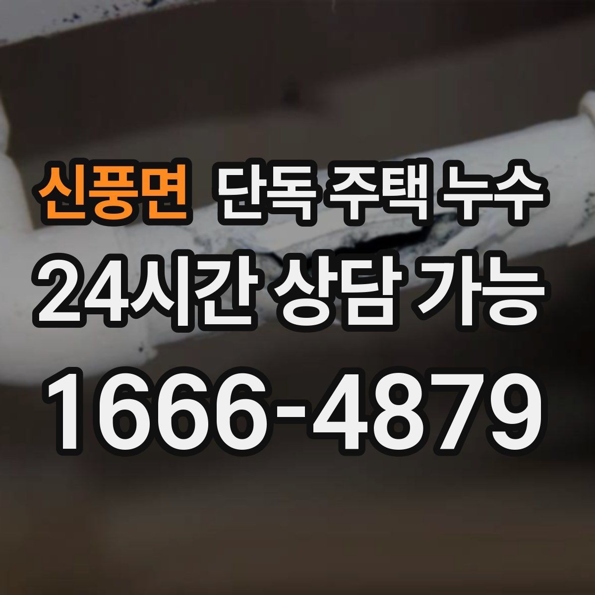 신풍면 단독 주택 누수 붙박이장 뒤 곰팡이가 생길 때