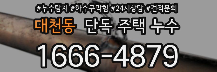 대천동 단독 주택 누수