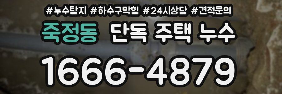 죽정동 단독 주택 누수