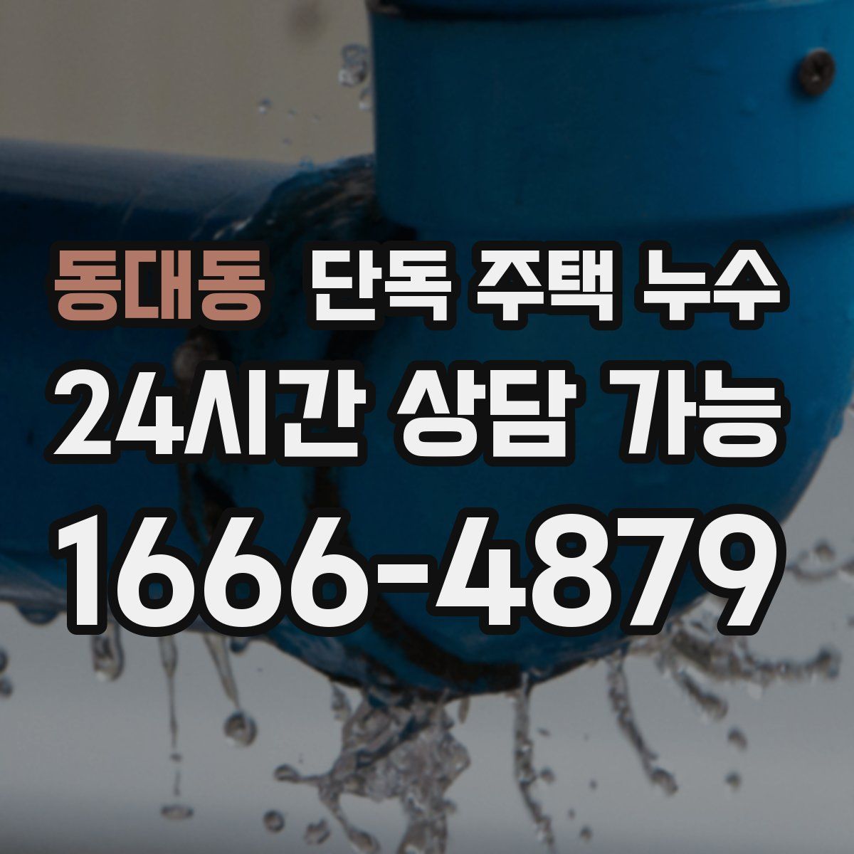 동대동 단독 주택 누수