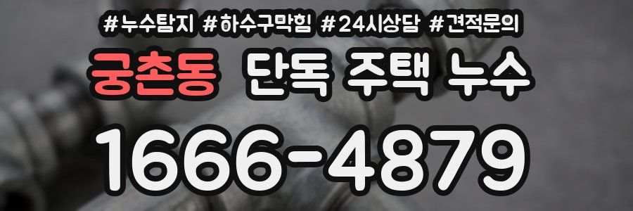 궁촌동 단독 주택 누수