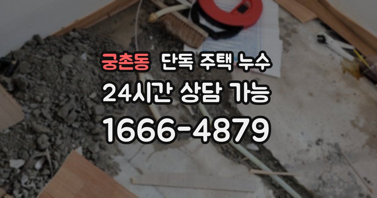 궁촌동 단독 주택 누수