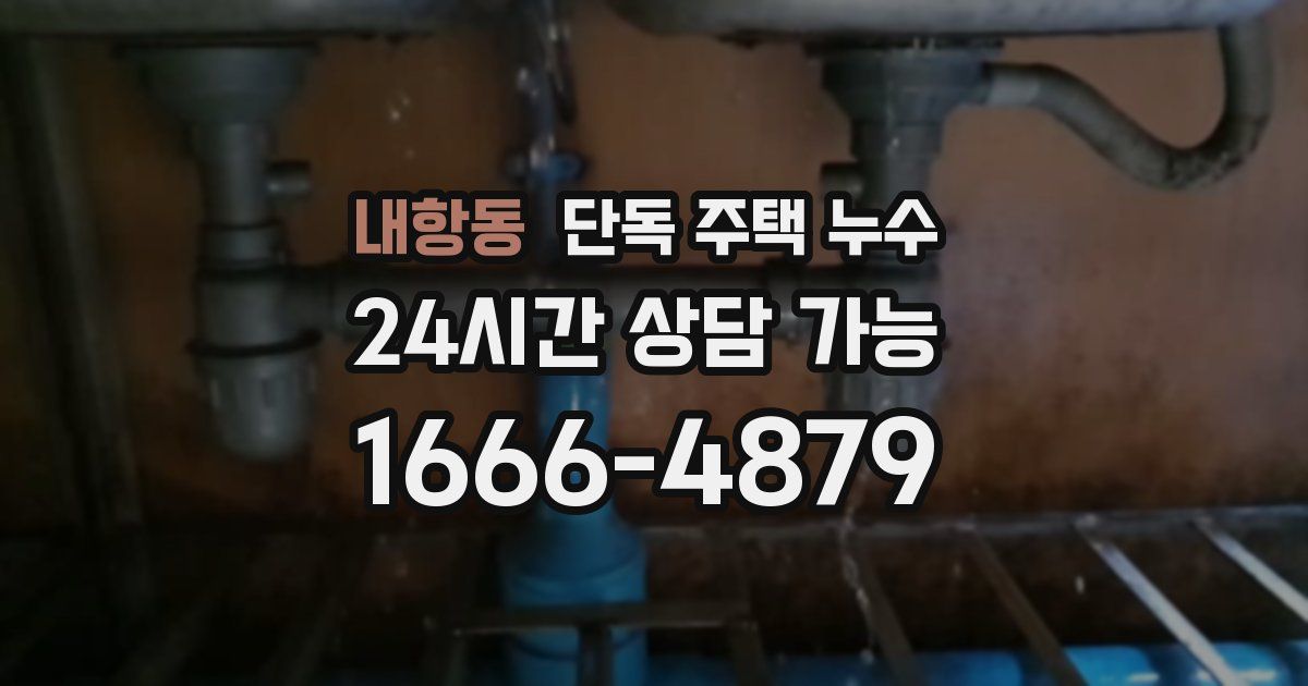 내항동 단독 주택 누수