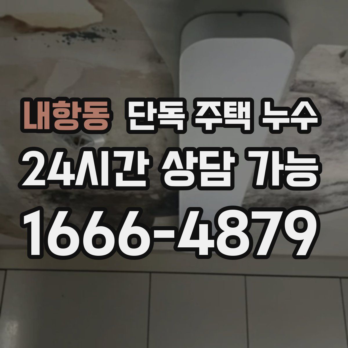 내항동 단독 주택 누수