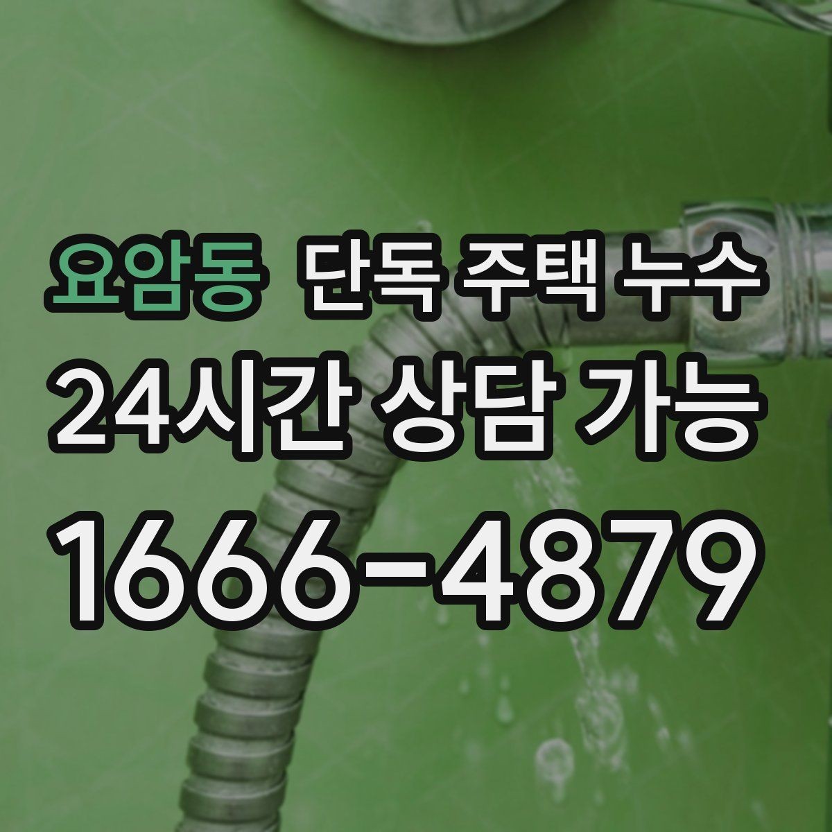 요암동 단독 주택 누수 곰팡이만 생기고 물자국은 없을 때