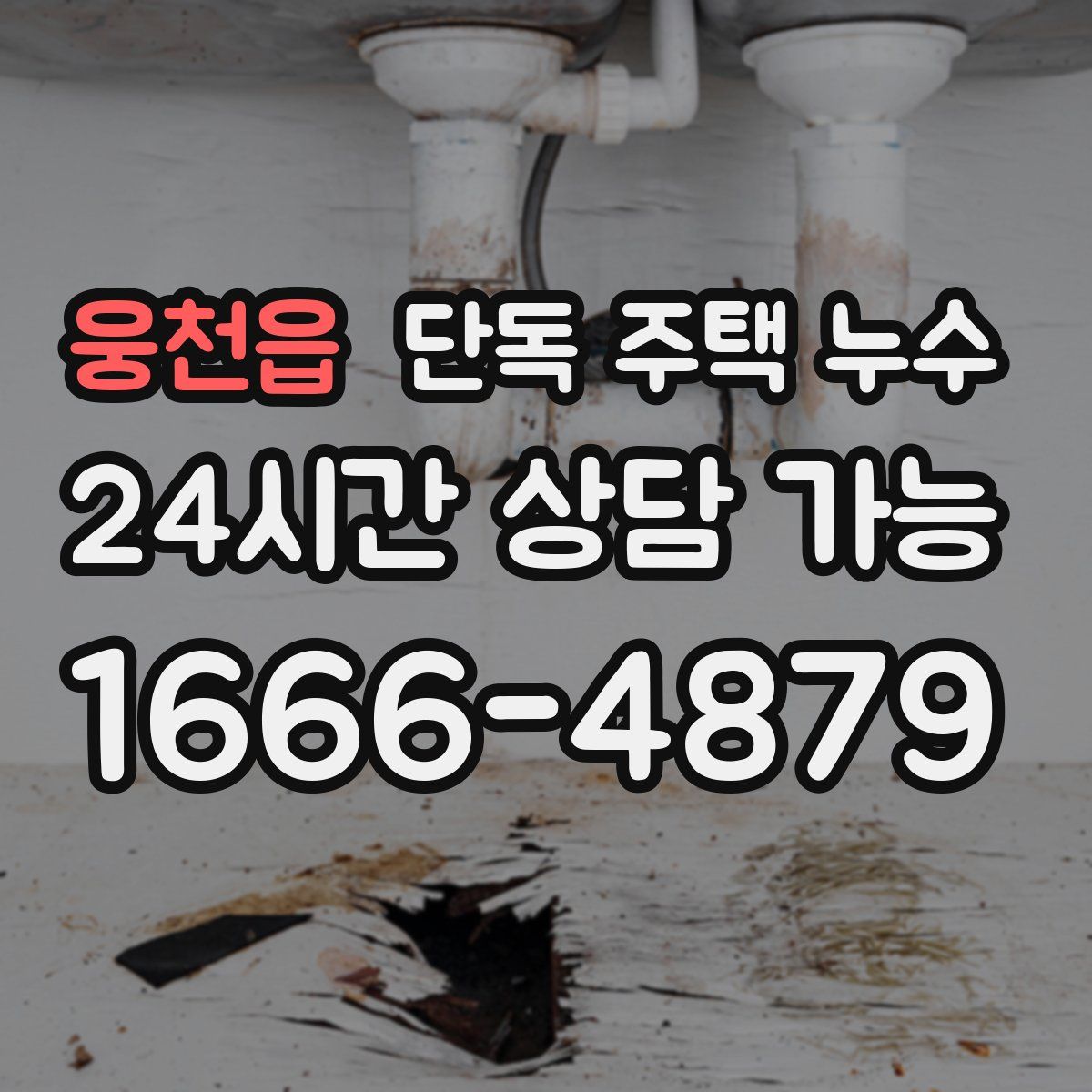 웅천읍 단독 주택 누수