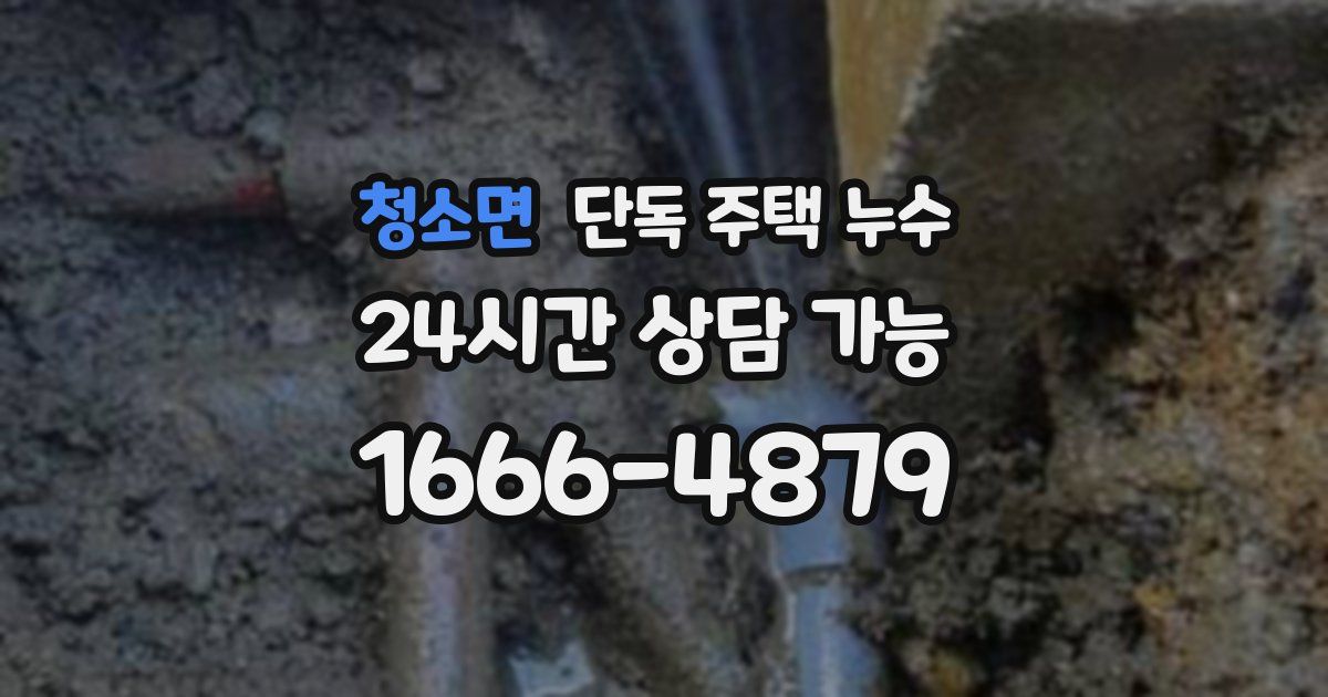 청소면 단독 주택 누수