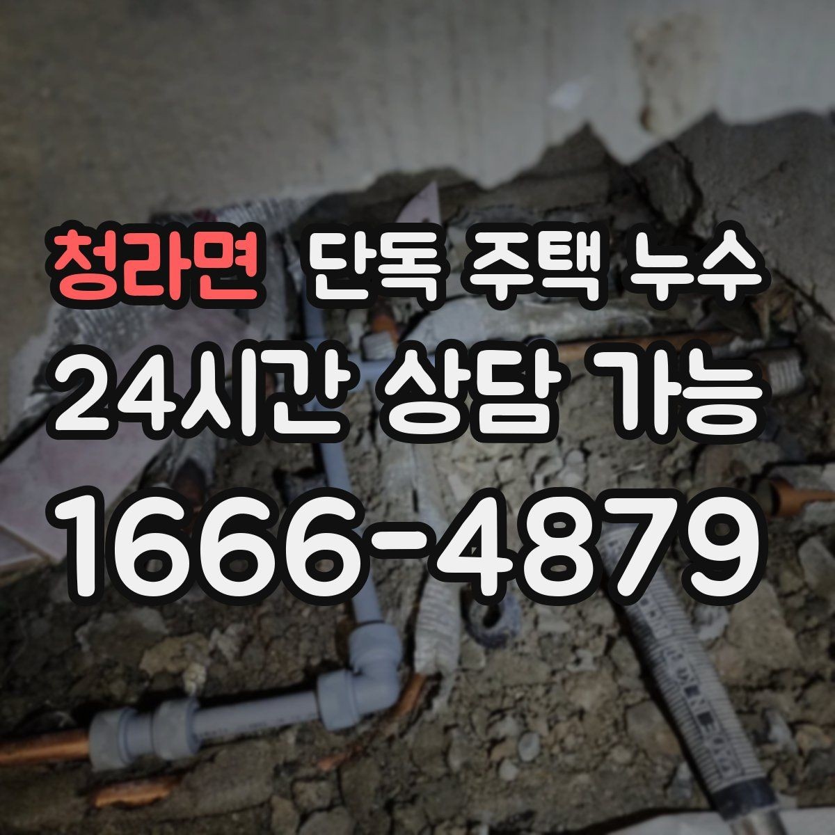 청라면 단독 주택 누수 장판 아래 곰팡이 생겼다면 무엇을 의심할까