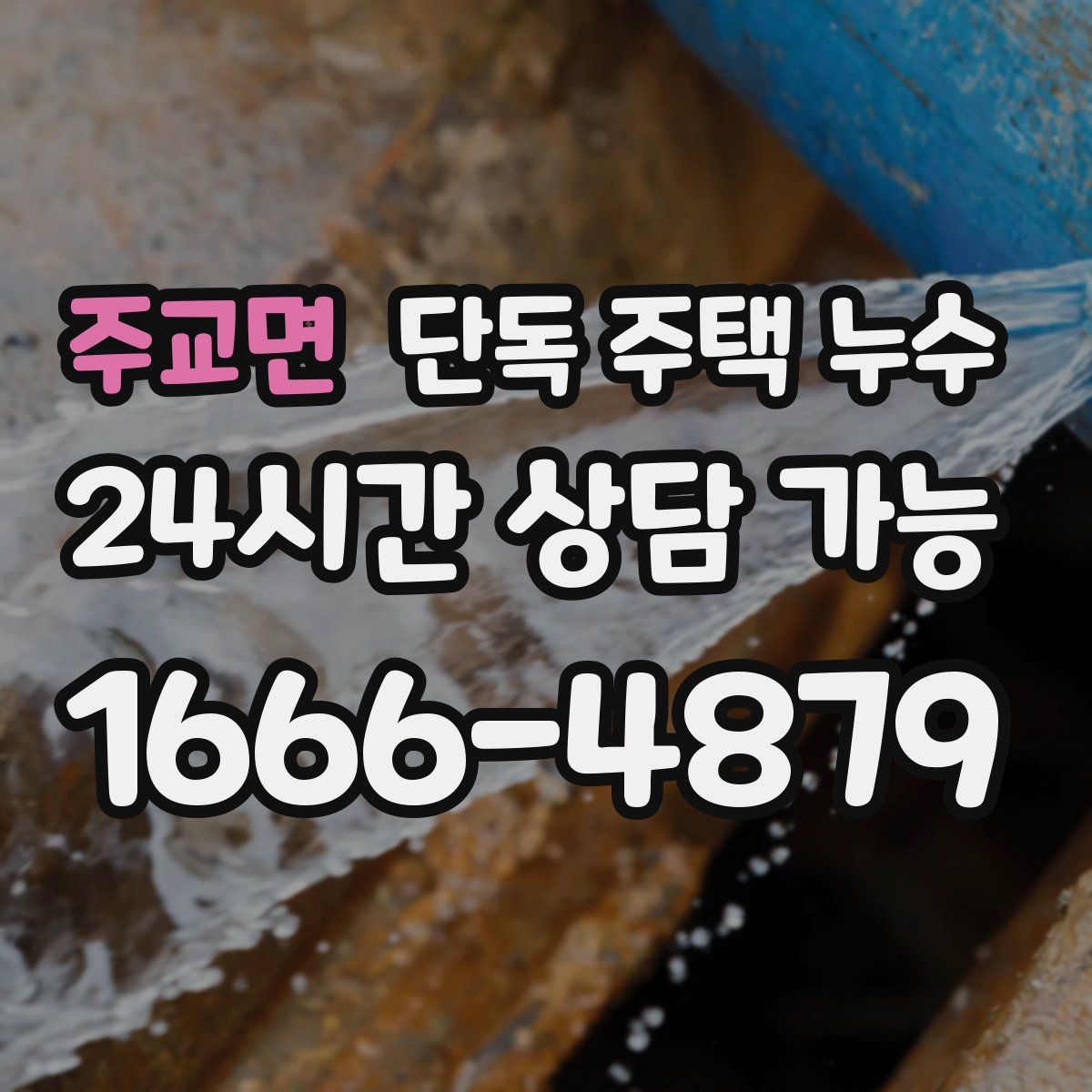 주교면 단독 주택 누수