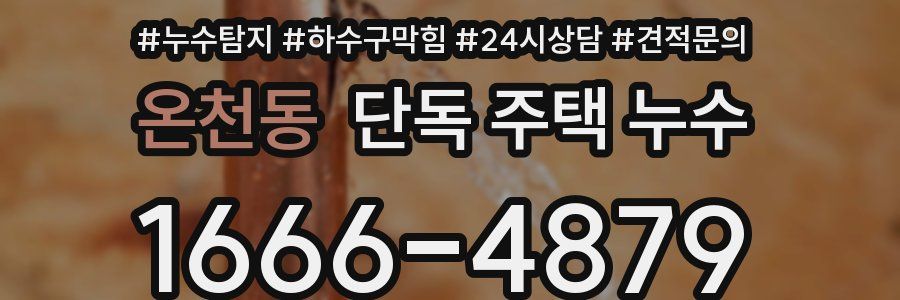 온천동 단독 주택 누수