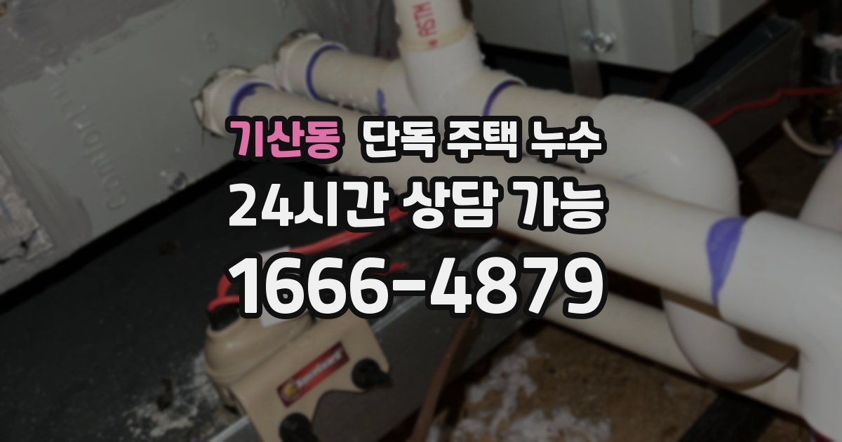 기산동 단독 주택 누수