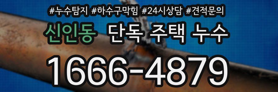 신인동 단독 주택 누수