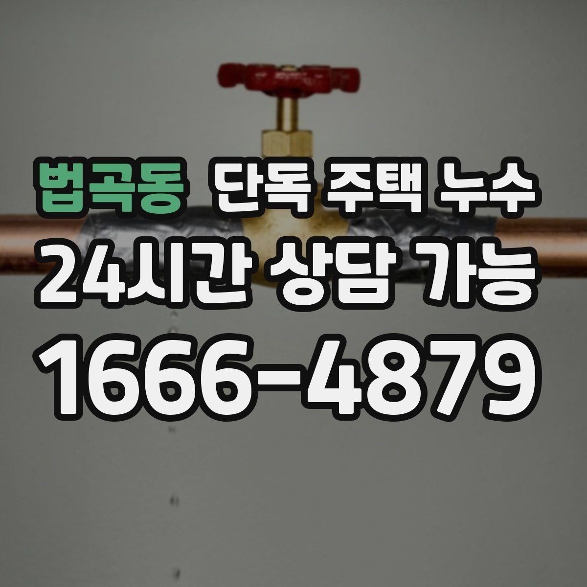법곡동 단독 주택 누수 정수기 연결부 주변 물고임 점검