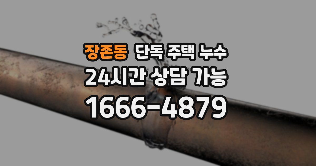 장존동 단독 주택 누수