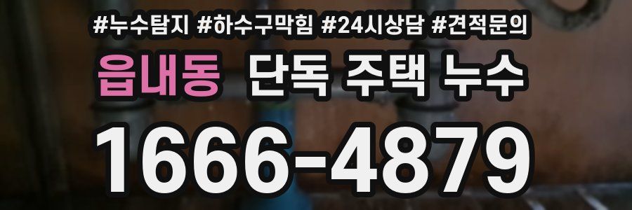 읍내동 단독 주택 누수