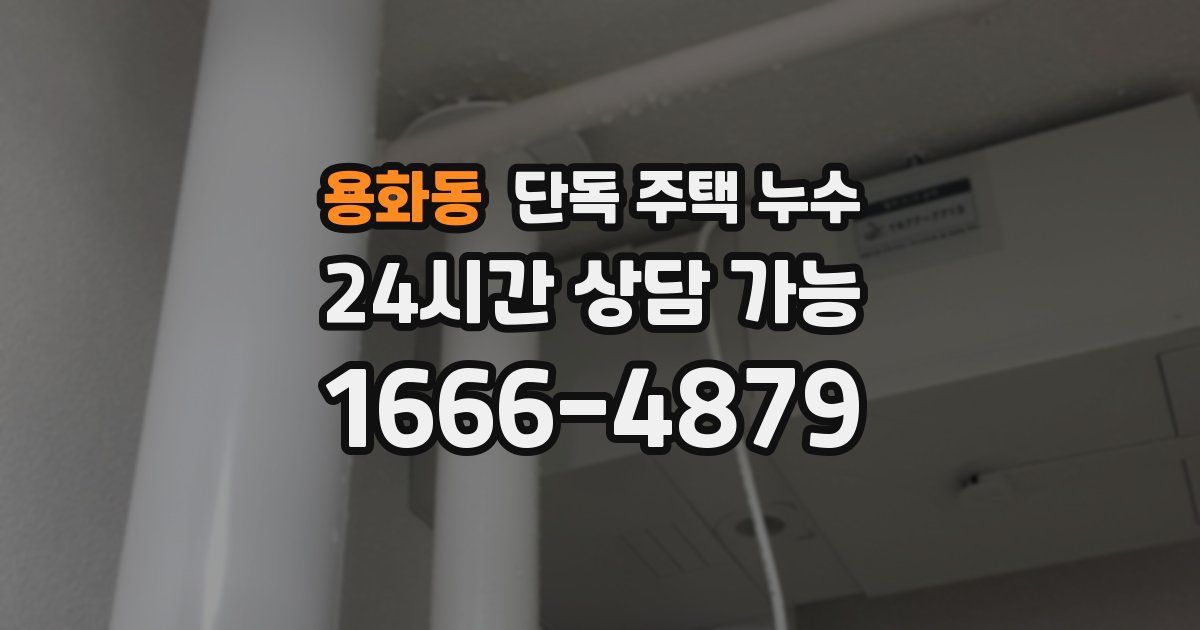 용화동 단독 주택 누수