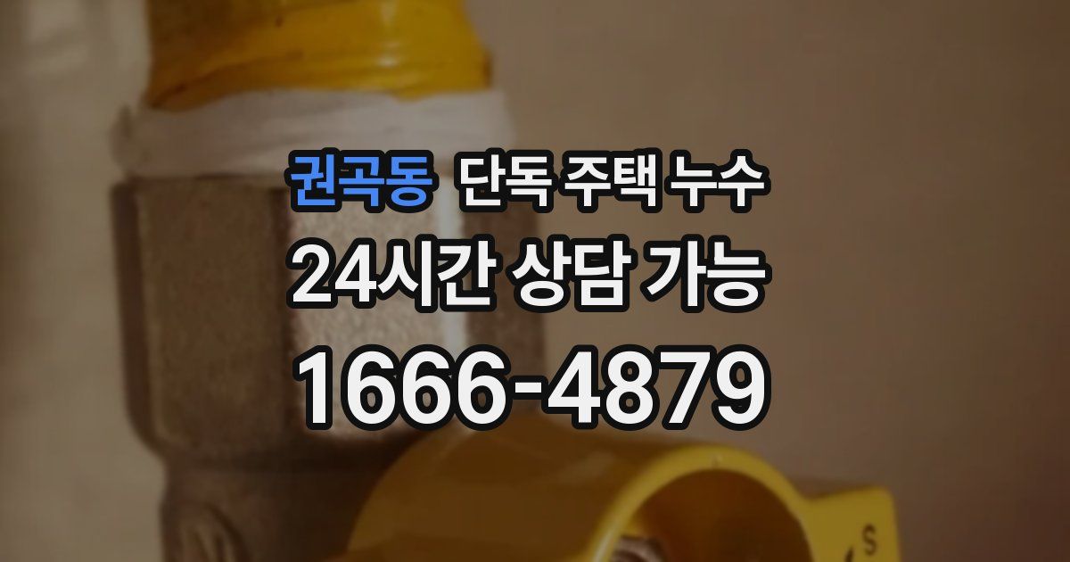 권곡동 단독 주택 누수