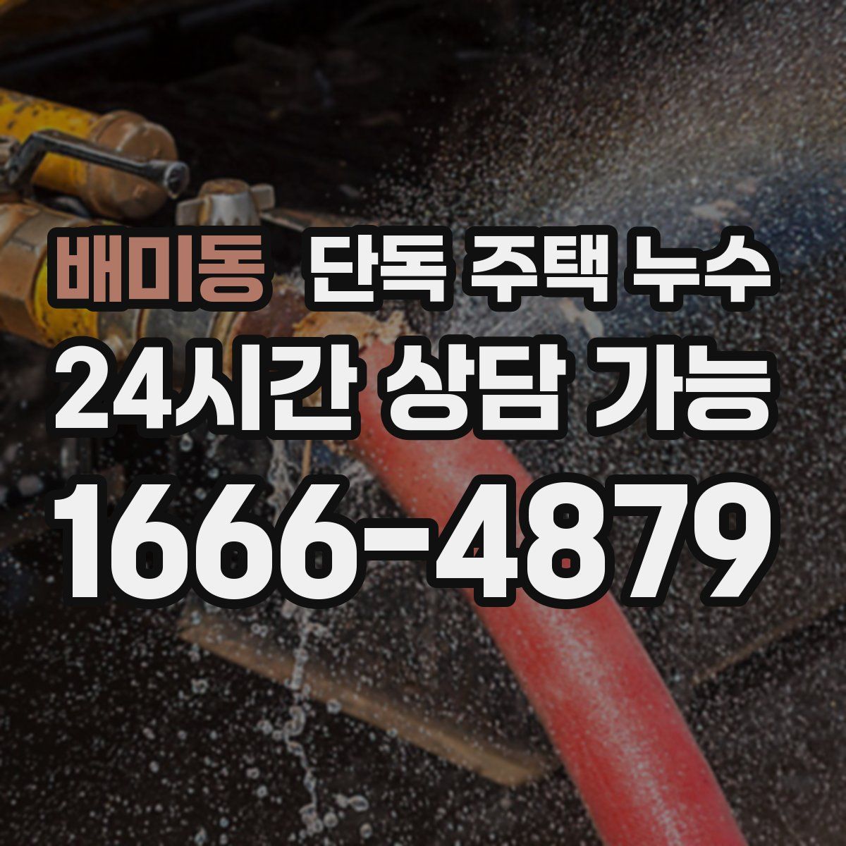 배미동 단독 주택 누수