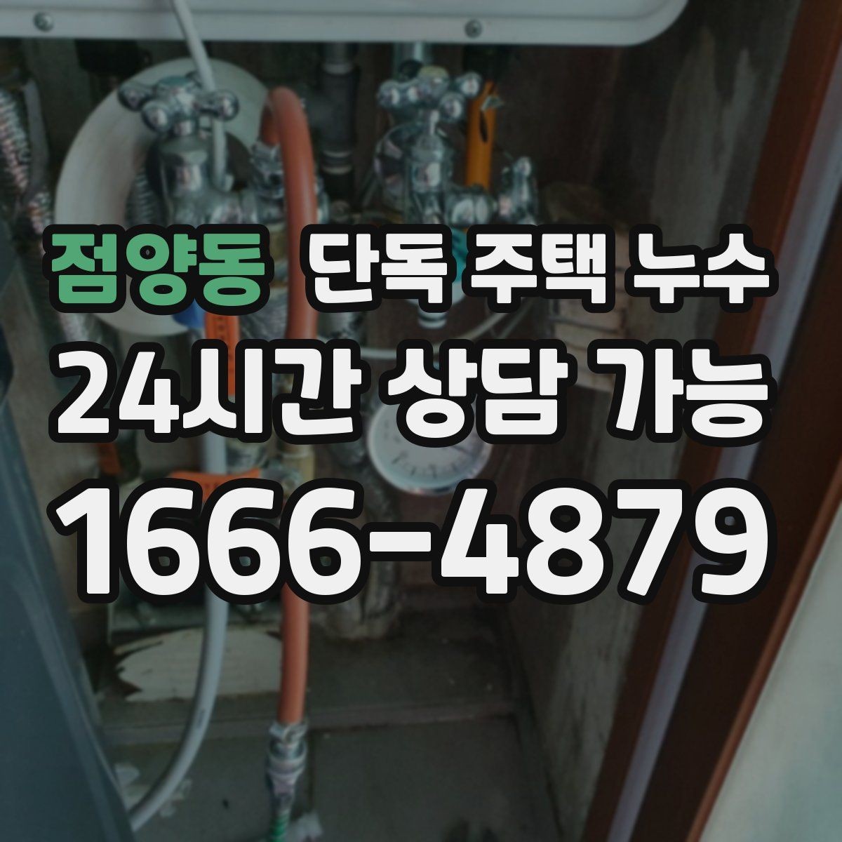 점양동 단독 주택 누수 수리 전 피해 범위를 줄이는 방법