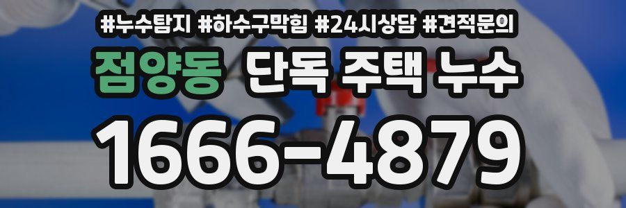 점양동 단독 주택 누수