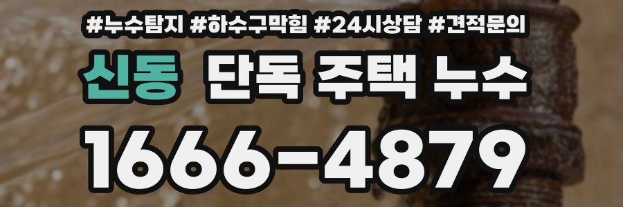 신동 단독 주택 누수