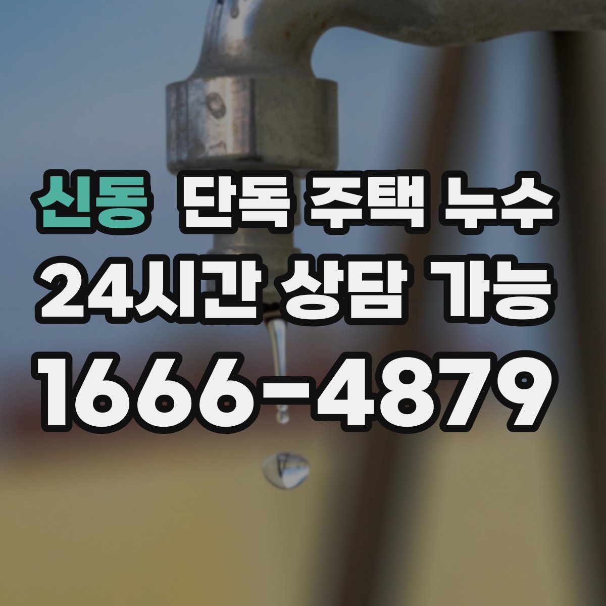 신동 단독 주택 누수