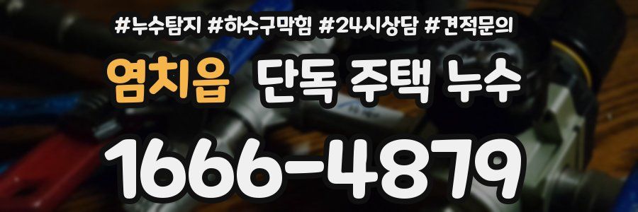 염치읍 단독 주택 누수